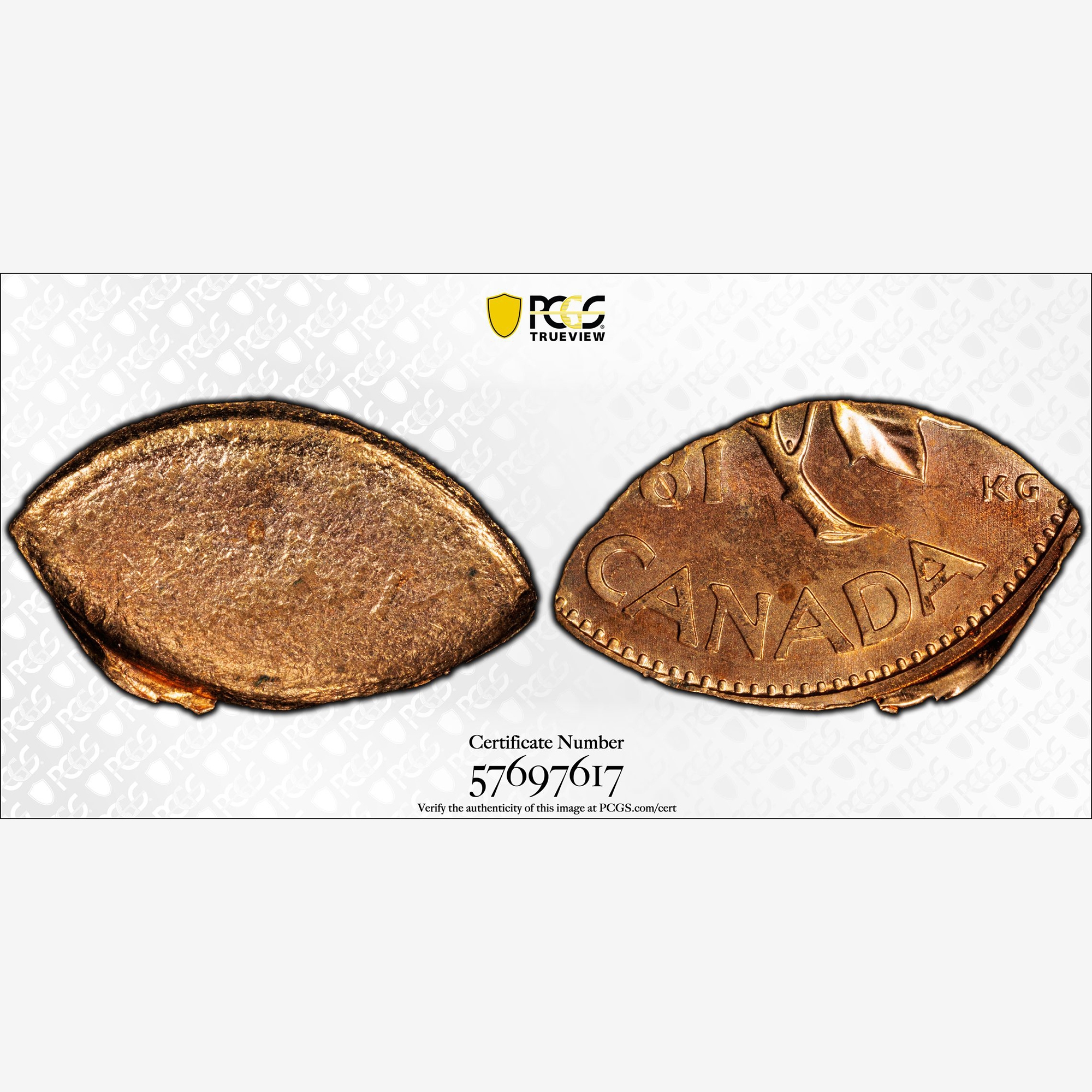 日本 | 貨幣博物館 符節欠損 最後の1頭　台湾産　ゲンゴロウ　37mm 富士一銭アルミ貨 昭和16年（1941 1Sen Mt.Fuji 標本