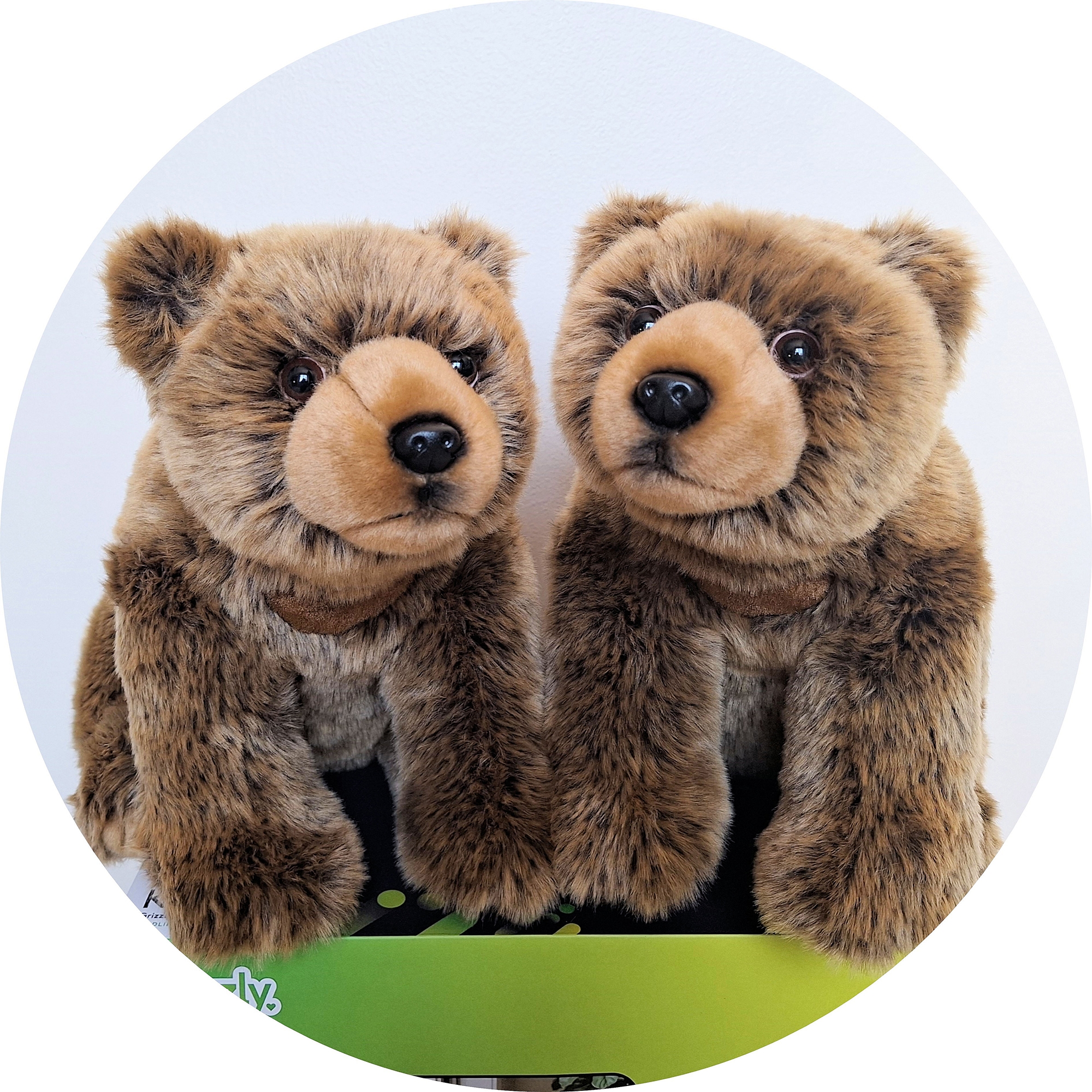 Hugzly Kodi the Grizzly Bear (set of 2) - TSC.ca