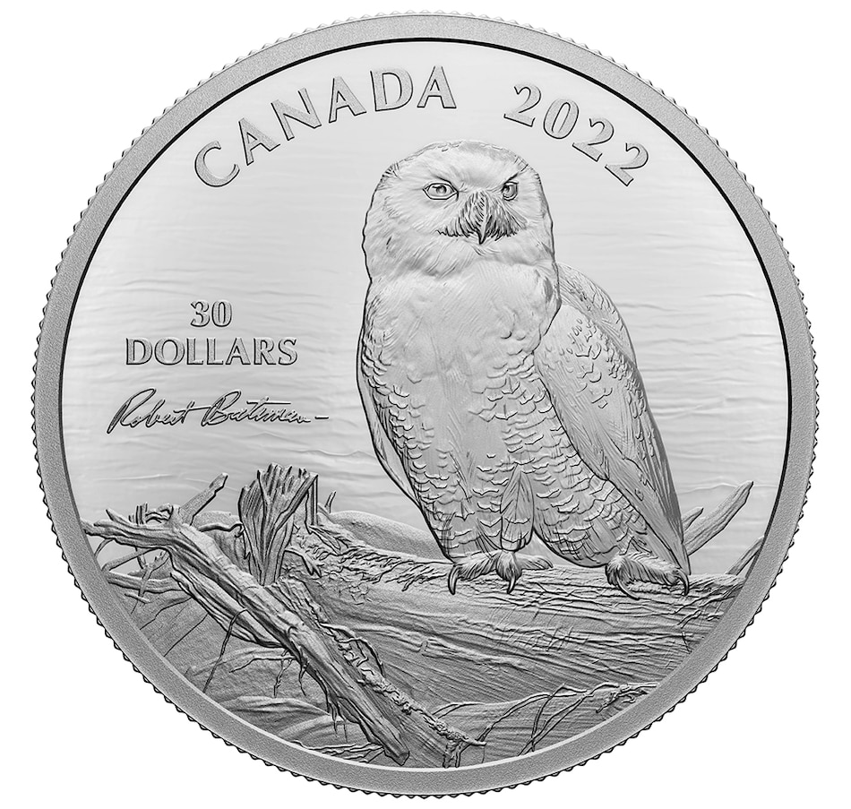 Image 718257.jpg, Product 718-257 / Price $229.95, 2022 $30 Snowy Owl on Driftwood Robert Bateman Two-Ounce Fine Silver Coin from Royal Canadian Mint on TSC.ca's Coins department