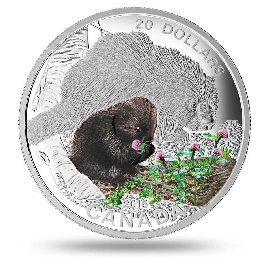 Image 718267.jpg, Product 718-267 / Price $78.88, 2016 $20 Baby Animals Fine Silver Coin and Stamp Set - Porcupine from Royal Canadian Mint on TSC.ca's Coins department