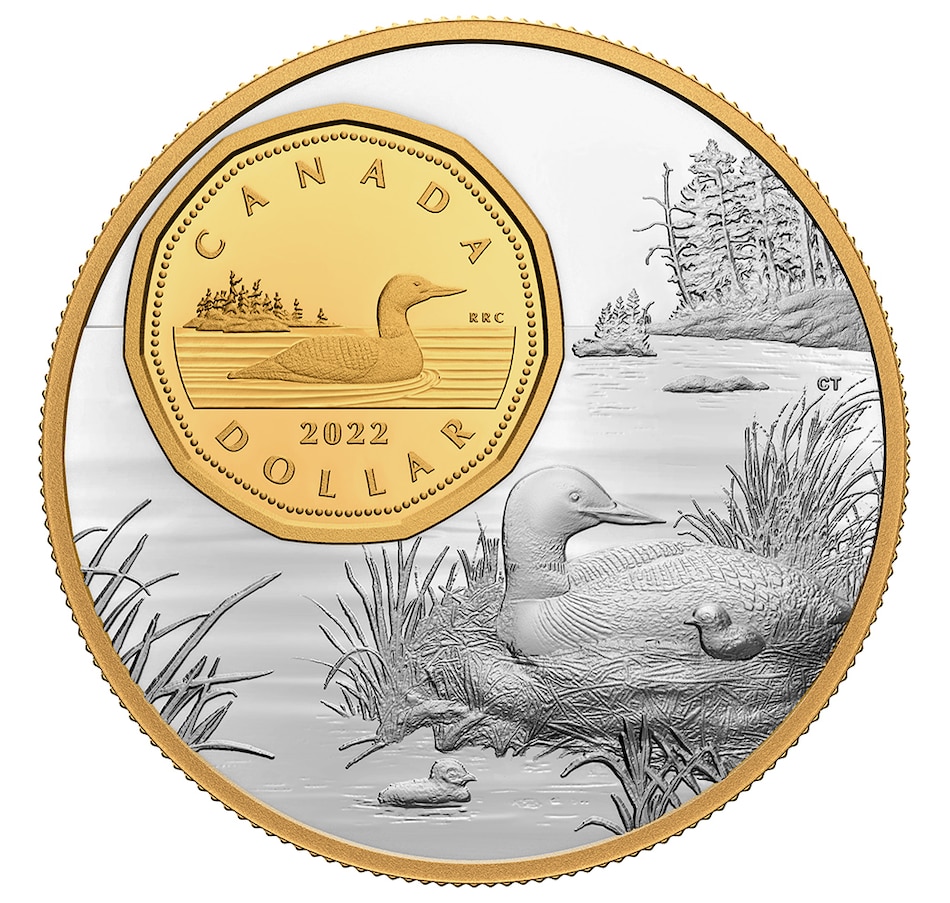 Image 718486.jpg, Product 718-486 / Price $599.95, 2022 The Bigger Picture: The Loon Five-Ounce One-Dollar Fine Silver Coin from Royal Canadian Mint on TSC.ca's Coins department