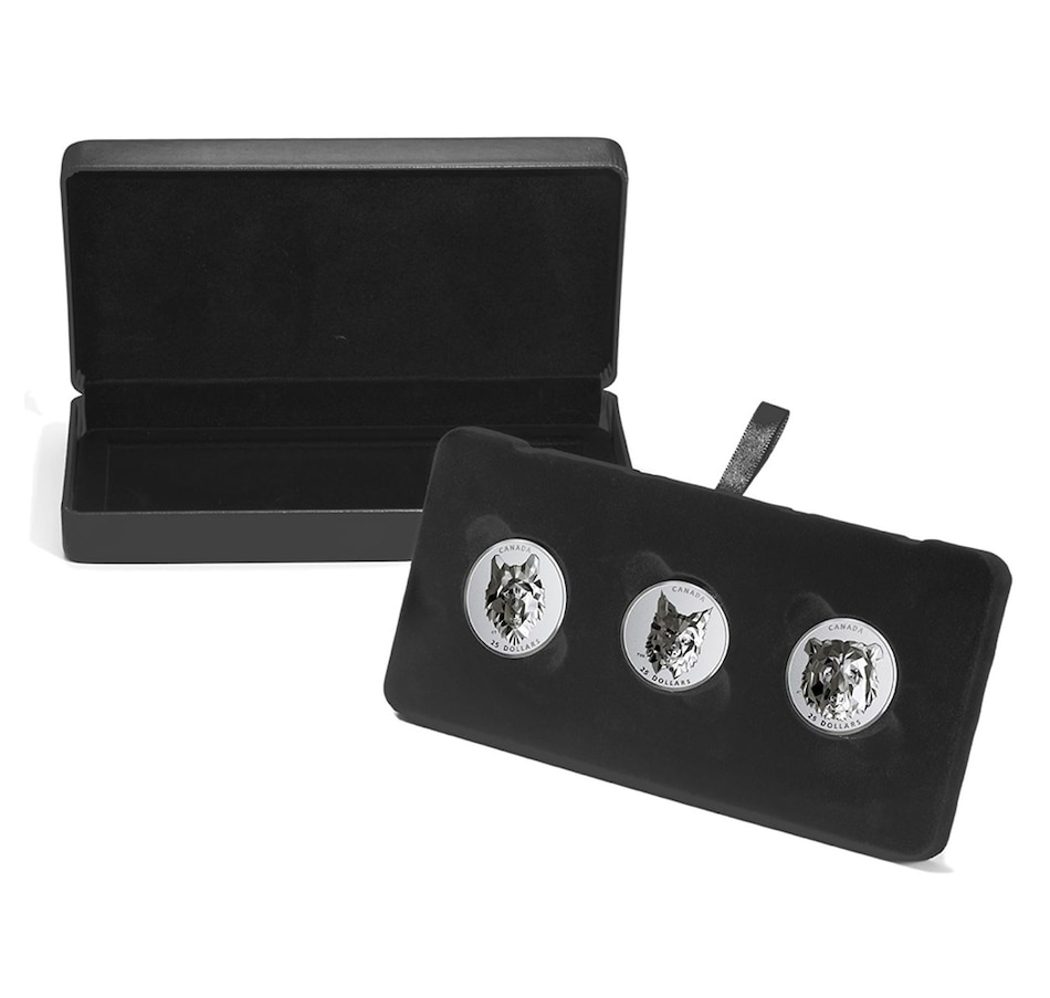 2019 2020 Three Piece 25 Fine Silver Coin Set Multifaceted Animal 2019-2020-three-piece-25-fine-silver-coin-set-multifaceted-animal