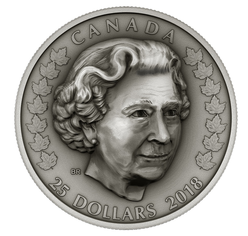 Image 718857.jpg, Product 718-857 / Price $149.95, 2018 Queen Elizabeth II A Royal Life $25 Coin - Matriarch of the Family from Royal Canadian Mint on TSC.ca's Coins department