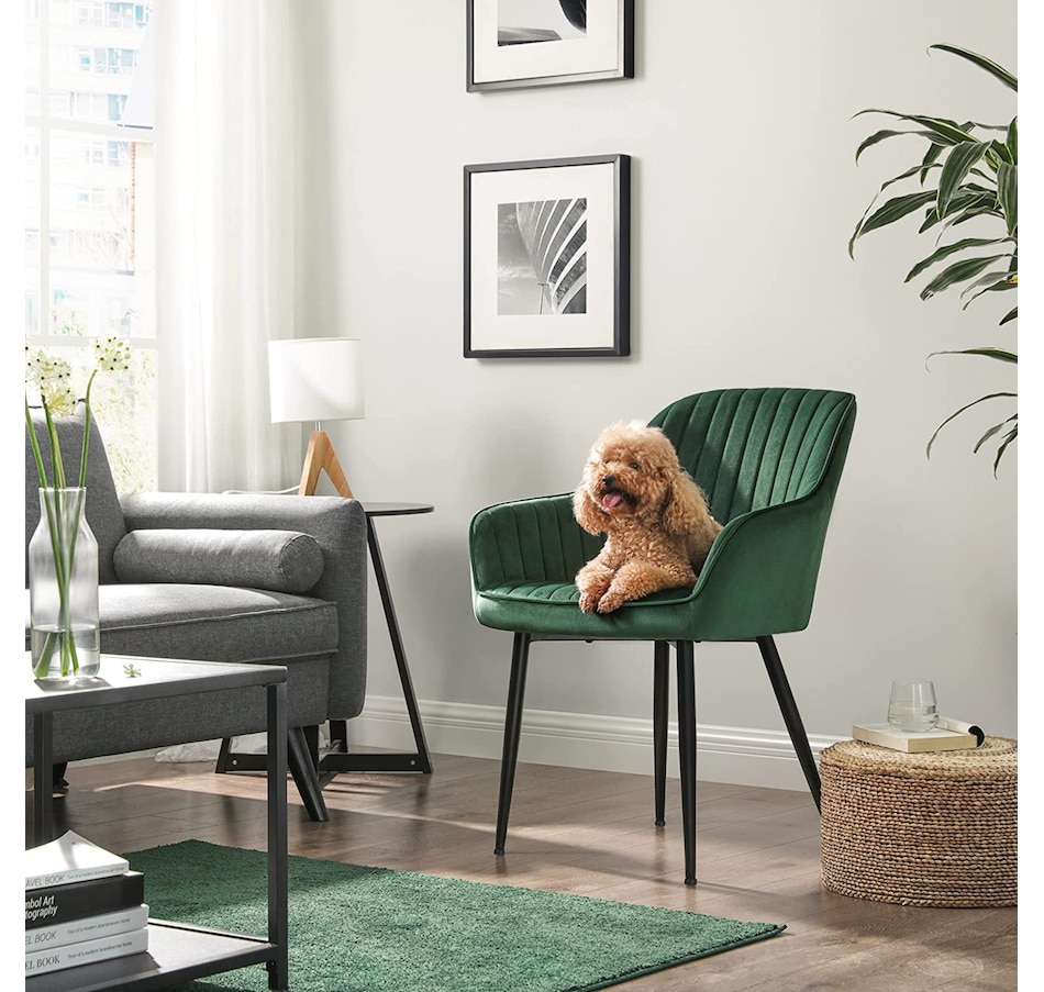 Image 719728.jpg, Product 719-728 / Price $149.99, Boutique Home Velvet Dining Room Accent Chair with Armrests (green) from Boutique Home on TSC.ca's Home & Garden department