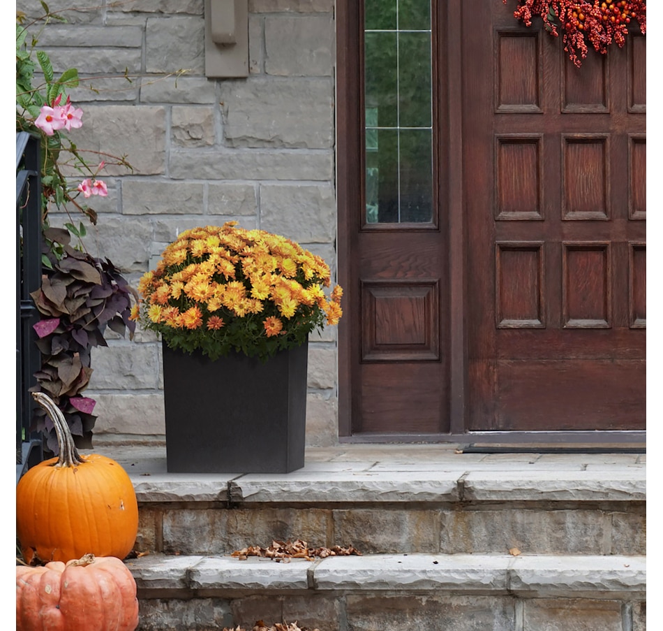 Image 719756_ALTMORE1.jpg, Product 719-756 / Price $54.99, Tierra Verde 14" x 14" Citadel Square Planter from Tierra Verde on TSC.ca's Home & Garden department