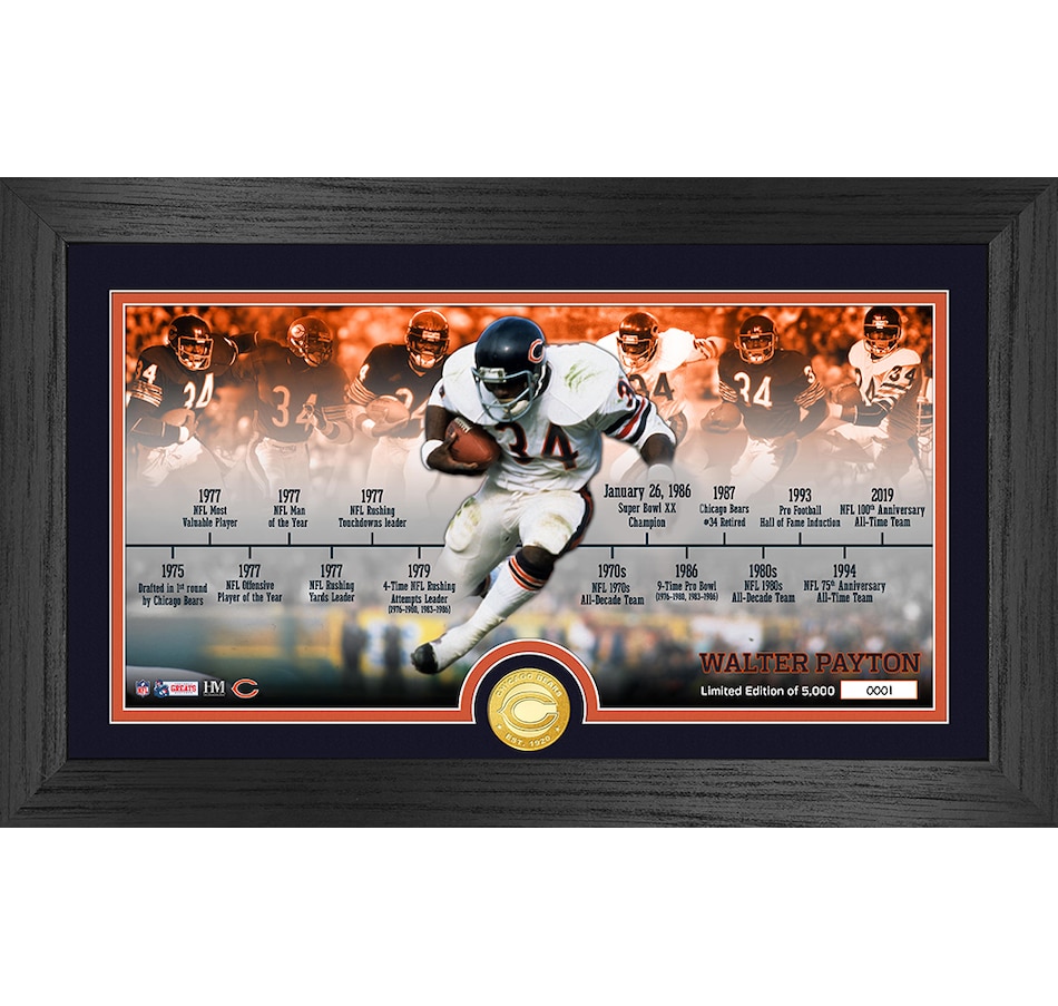 Packers Super Bowl Ticket and Bronze Coin Frame