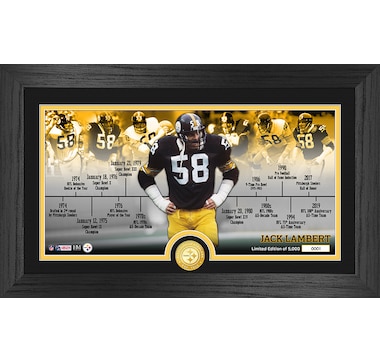 Highland Mint Troy Polamalu Pittsburgh Steelers Jersey Impact Frame