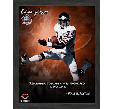 Walter Payton Bears Career Timeline Bronze Coin Pano Photo Mint