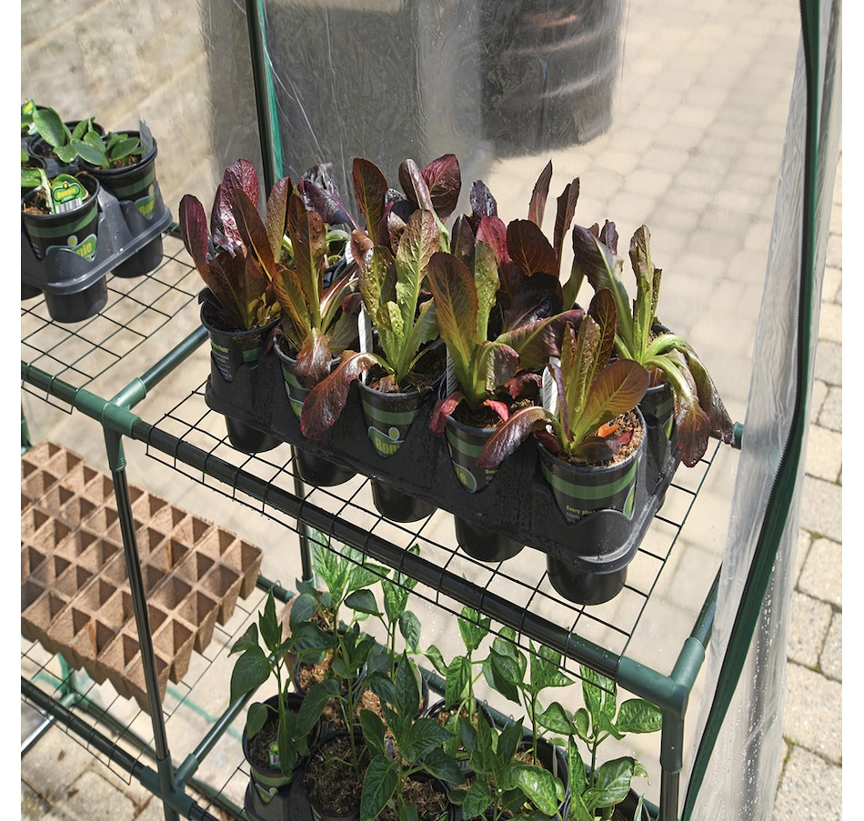 Image 721489_ALTMORE3.jpg, Product 721-489 / Price $99.99, Miracle-Gro Mini Greenhouse (4'8" x 4'8" x 6'5") from Miracle-Gro on TSC.ca's Home & Garden department