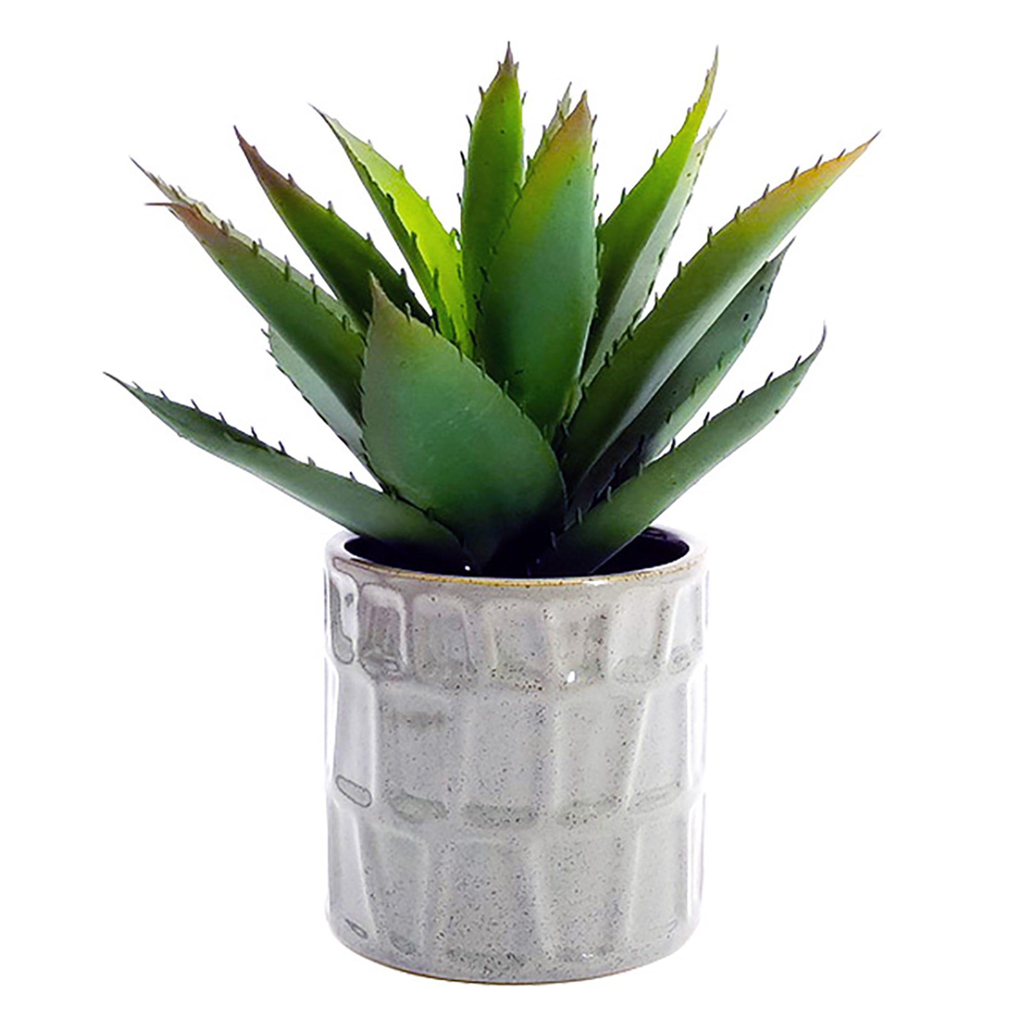 Kozie Lifestyle Ceramic Planter with Plant - TSC.ca