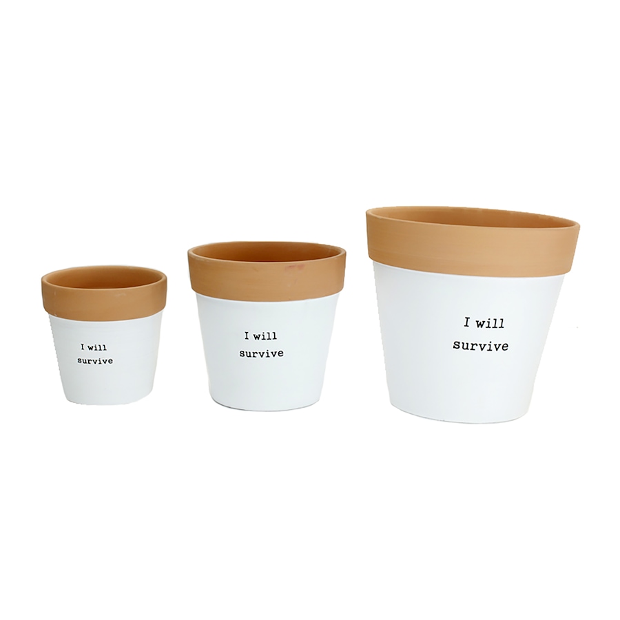 Image 722280.jpg, Product 722-280 / Price $39.99, Koppers Home I Will Survive Planters (pack of 3) from Koppers on TSC.ca's Home & Garden department