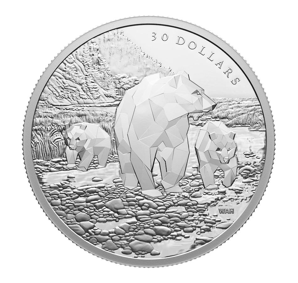 Image 722617.jpg, Product 722-617 / Price $269.95, 2023 Two-Ounce $30 Fine Silver Grizzly Bears Multifaceted Animal Family Coin from Royal Canadian Mint (RCM) on TSC.ca's Coins department