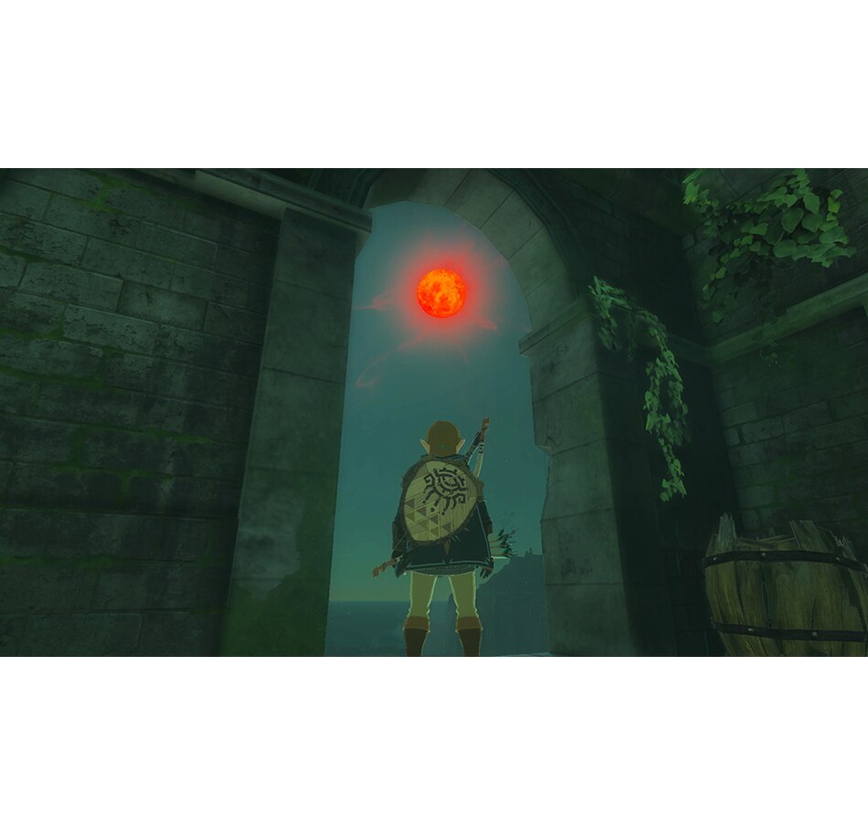 Image 723475_ALTMORE5.jpg, Product 723-475 / Price $89.99, Nintendo Switch The Legend of Zelda: Tears of the Kingdom Game from Nintendo on TSC.ca's Electronics department