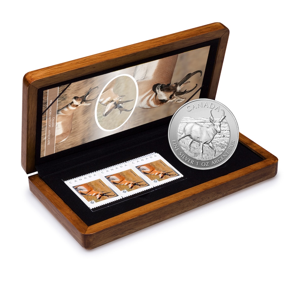 Image 723547.jpg, Product 723-547 / Price $89.95, 2013 Royal Canadian Mint $5 Pronghorn Antelope Custom Coin and Stamp Set in Canadian Wood Display Case from Royal Canadian Mint (RCM) on TSC.ca's Coins department