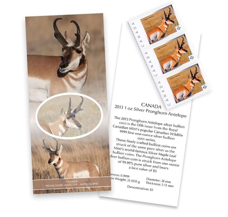 Image 723547_ALTMORE3.jpg, Product 723-547 / Price $89.95, 2013 Royal Canadian Mint $5 Pronghorn Antelope Custom Coin and Stamp Set in Canadian Wood Display Case from Royal Canadian Mint (RCM) on TSC.ca's Coins department