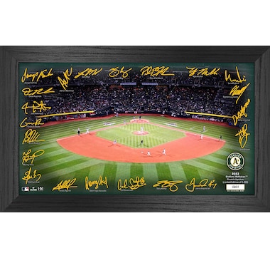 The Highland Mint | Minnesota Twins 2023 Signature Field Photo Frame