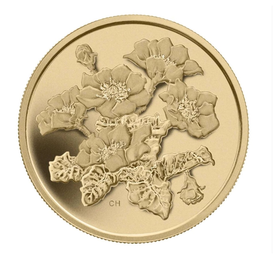 Image 724041.jpg, Product 724-041 / Price $4,299.95, 2011 $350 Mountain Avens Fine Gold Coin from Royal Canadian Mint on TSC.ca's Coins department