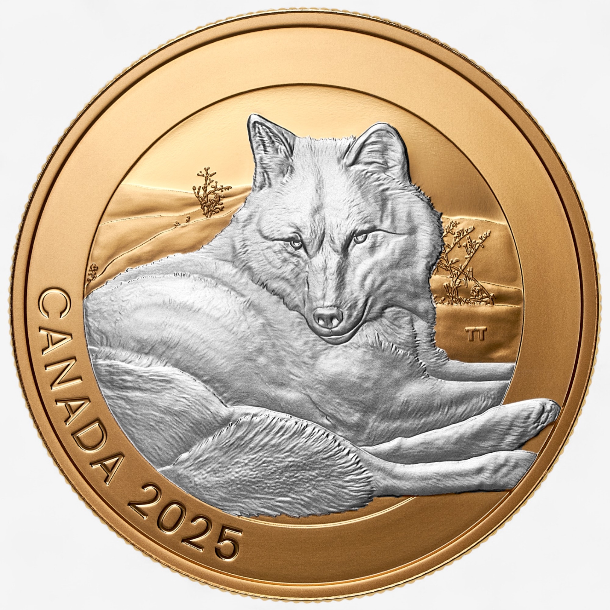 2025 $20 Animal Portraits: Grey Wolf One-Ounce Fine Silver Coin - TSC.ca