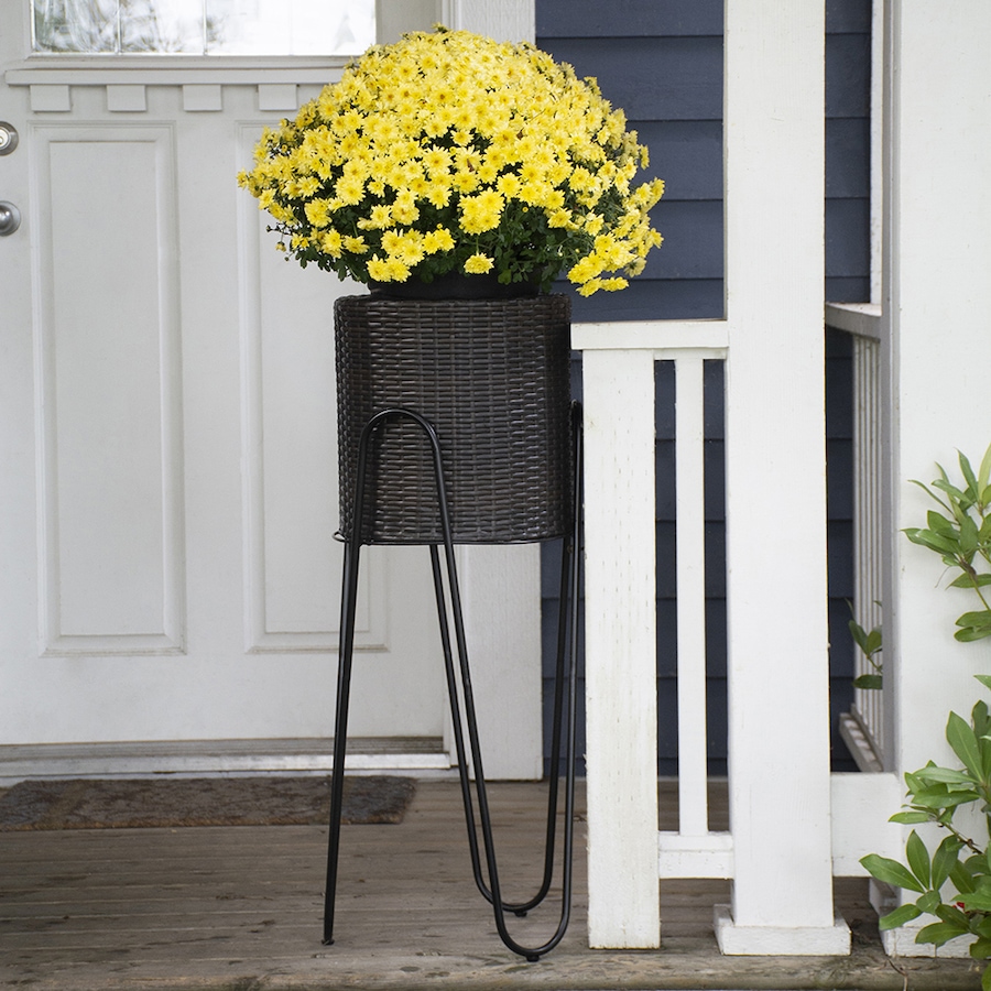 Image 724468_ALTMORE1.jpg, Product 724-468 / Price $69.99, Grapevine Resin Wicker Planter with Tall Metal Stand from Grapevine on TSC.ca's Home & Garden department