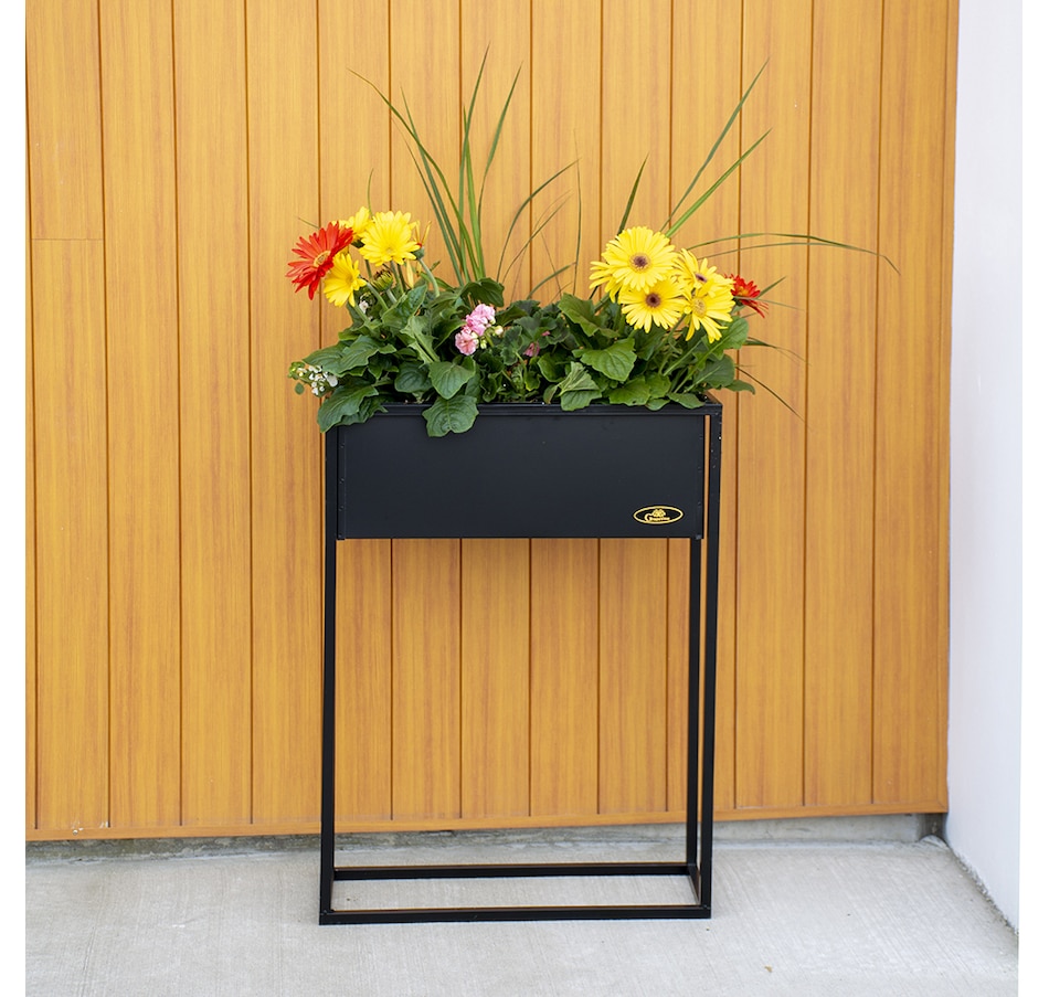 Image 724469_ALTMORE5.jpg, Product 724-469 / Price $129.99, Grapevine Rectangular Floor Planter with Self-Watering Feature from Grapevine on TSC.ca's Home & Garden department