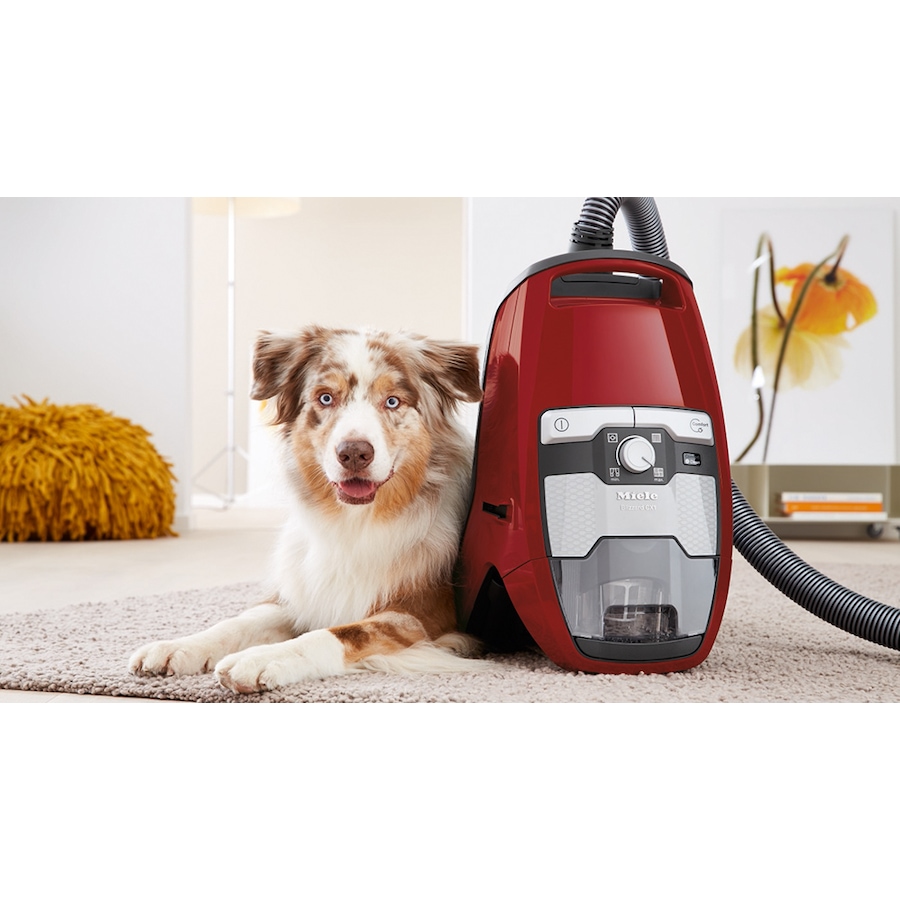 Image 724765_ALTMORE5.jpg, Product 724-765 / Price $1,199.99, Miele Blizzard CX 1 Cat and Dog Bagless Canister Vacuum Cleaner from Miele on TSC.ca's Home & Garden department
