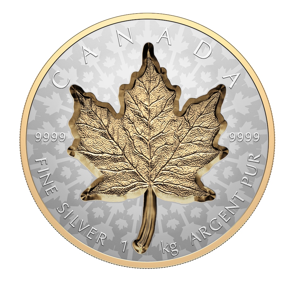 Image 725048.jpg, Product 725-048 / Price $3,299.95, 2024 $250 Super Incuse Maple Leaf One-Kilo Silver Coin from The Coin Show with Steven Bromberg on TSC.ca's Coins department