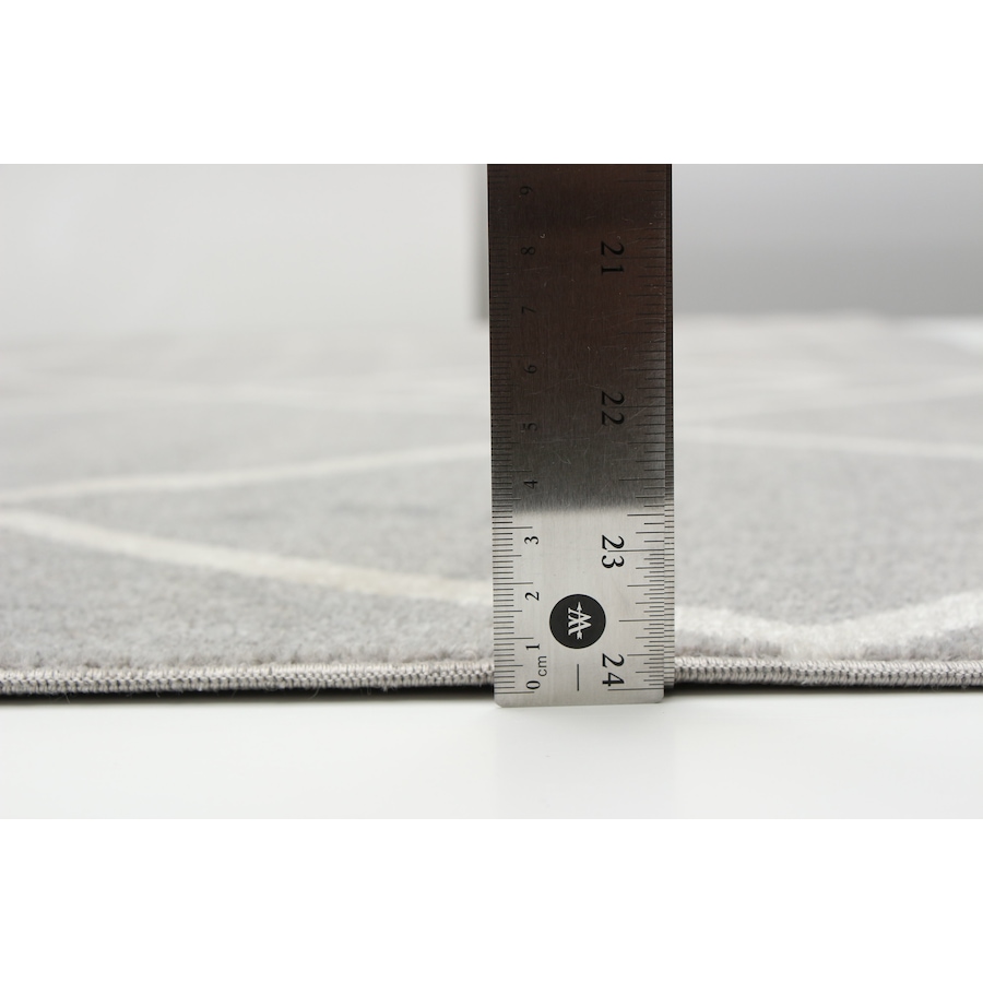 Image 727008_ALTMORE10.jpg, Product 727-008 / Price $81.00 - $420.00, ECARPET Aqua Kenza Rug from ECarpet on TSC.ca's Home & Garden department
