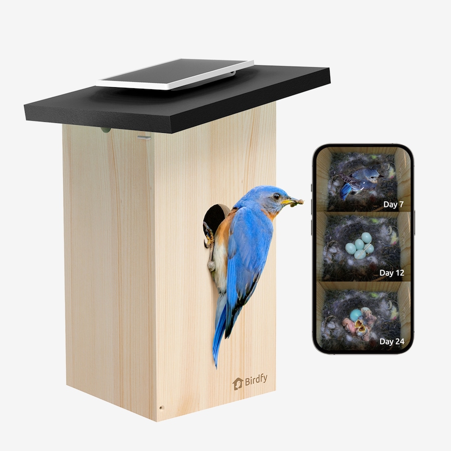 Image 727064.jpg, Product 727-064 / Price $219.99, Birdfy Ebony Solar Powered Smart Bird House with Camera and AI Identification from Birdfy on TSC.ca's Home & Garden department