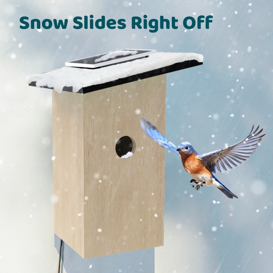 Image 727064_ALTMORE6.jpg, Product 727-064 / Price $219.99, Birdfy Ebony Solar Powered Smart Bird House with Camera and AI Identification from Birdfy on TSC.ca's Home & Garden department