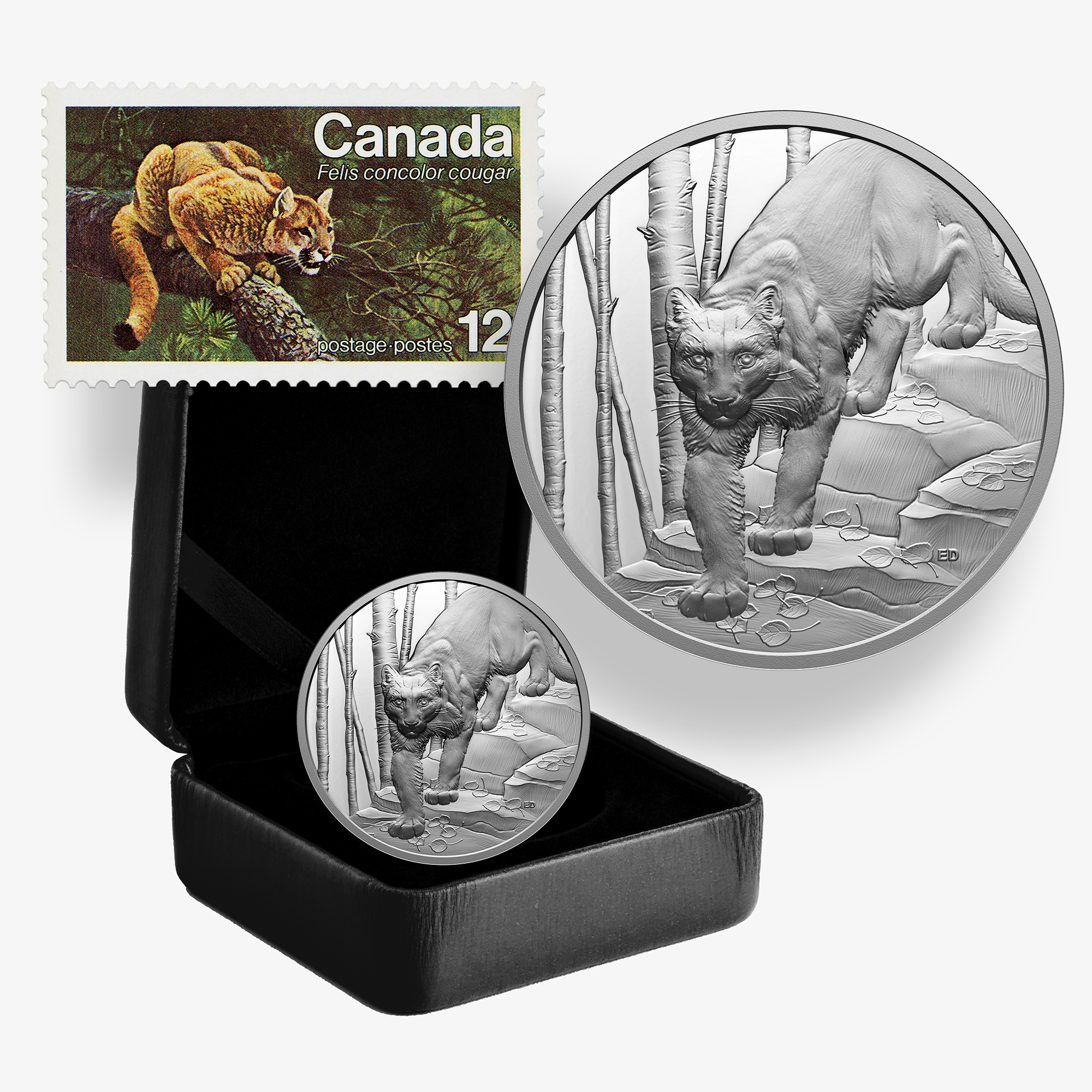 2024 $20 Fine Silver Cougar Ultra High Relief Coin – Great Hunters