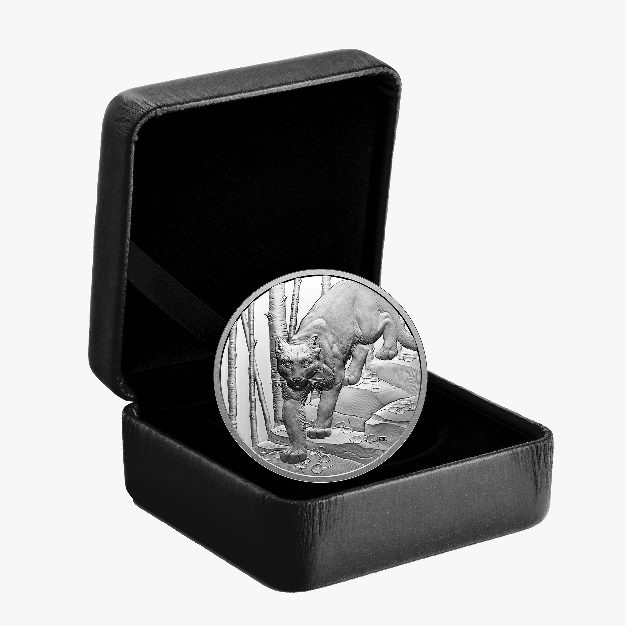 2024 $20 Fine Silver Cougar Ultra High Relief Coin – Great Hunters
