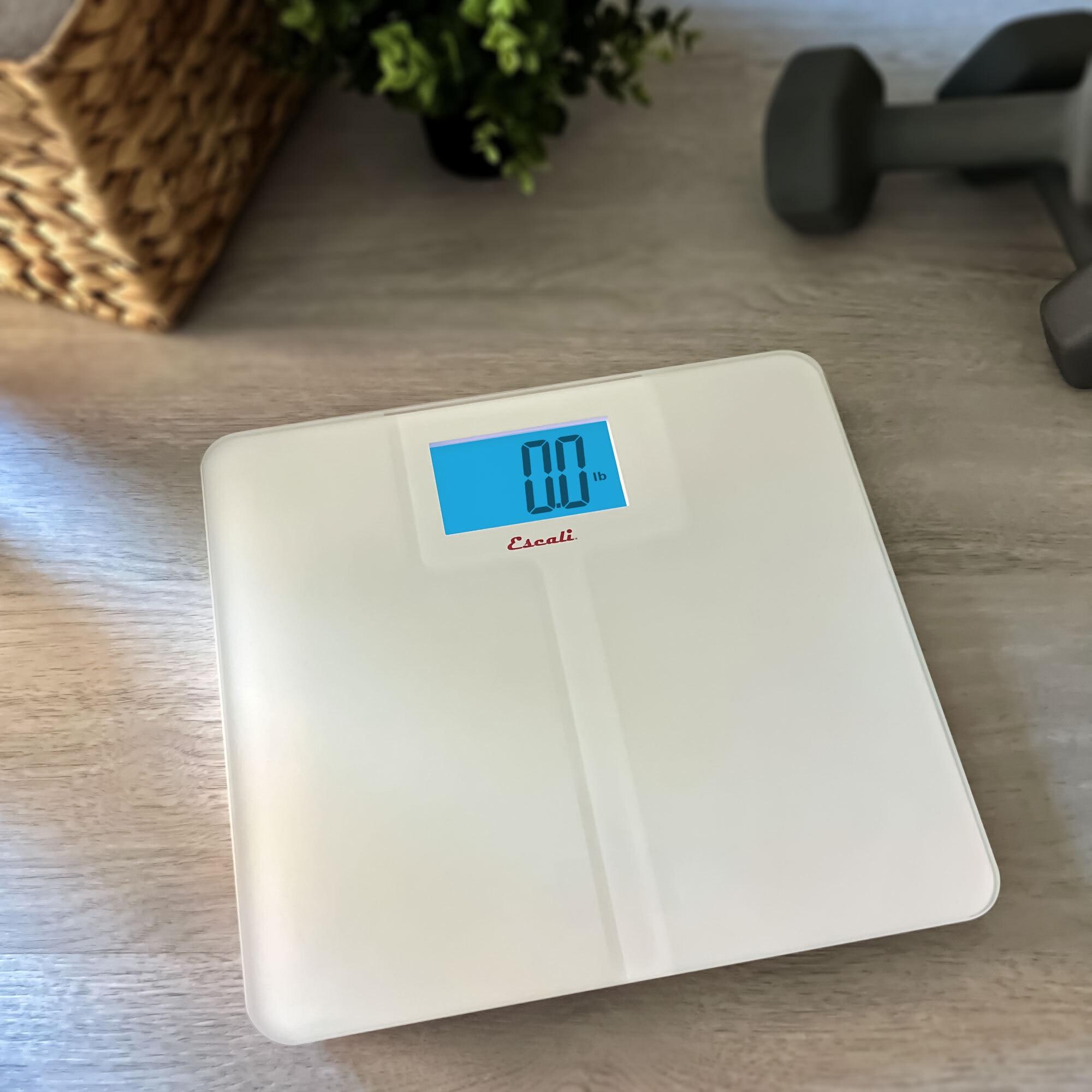 Escali bathroom clearance scale