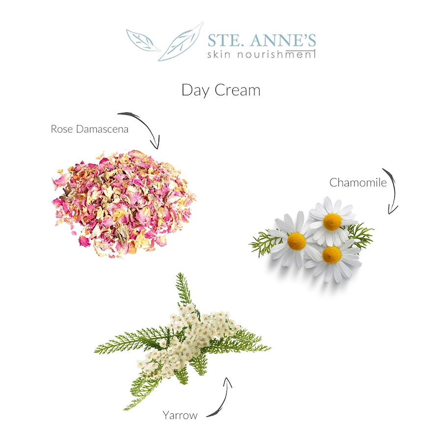 Image 728253_ALTMORE1.jpg, Product 728-253 / Price $38.00, Ste. Anne's Skin Nourishment Day Cream from Ste. Anne’s on TSC.ca's Beauty department