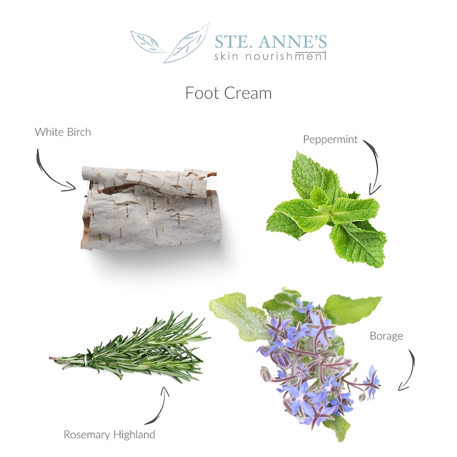 Image 728266_ALTMORE1.jpg, Product 728-266 / Price $24.00, Ste. Anne's Skin Nourishment Foot Cream from Ste. Anne’s on TSC.ca's Beauty department