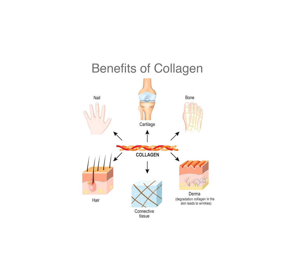 Image 728316_ALTMORE2.jpg, Product 728-316 / Price $99.99, VitaTree Care Collagen Powder Unflavoured 2 Pouches from VitaTree Nutritionals on TSC.ca's Health & Fitness department