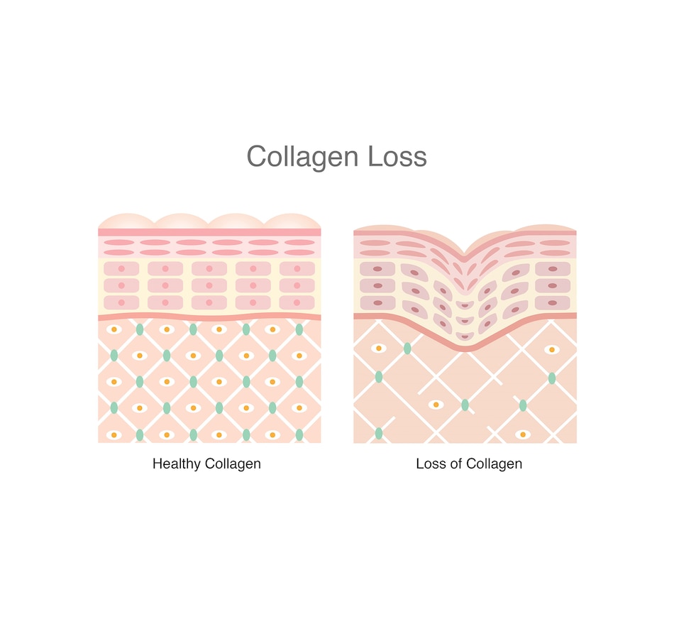 Image 728316_ALTMORE4.jpg, Product 728-316 / Price $99.99, VitaTree Care Collagen Powder Unflavoured 2 Pouches from VitaTree Nutritionals on TSC.ca's Health & Fitness department