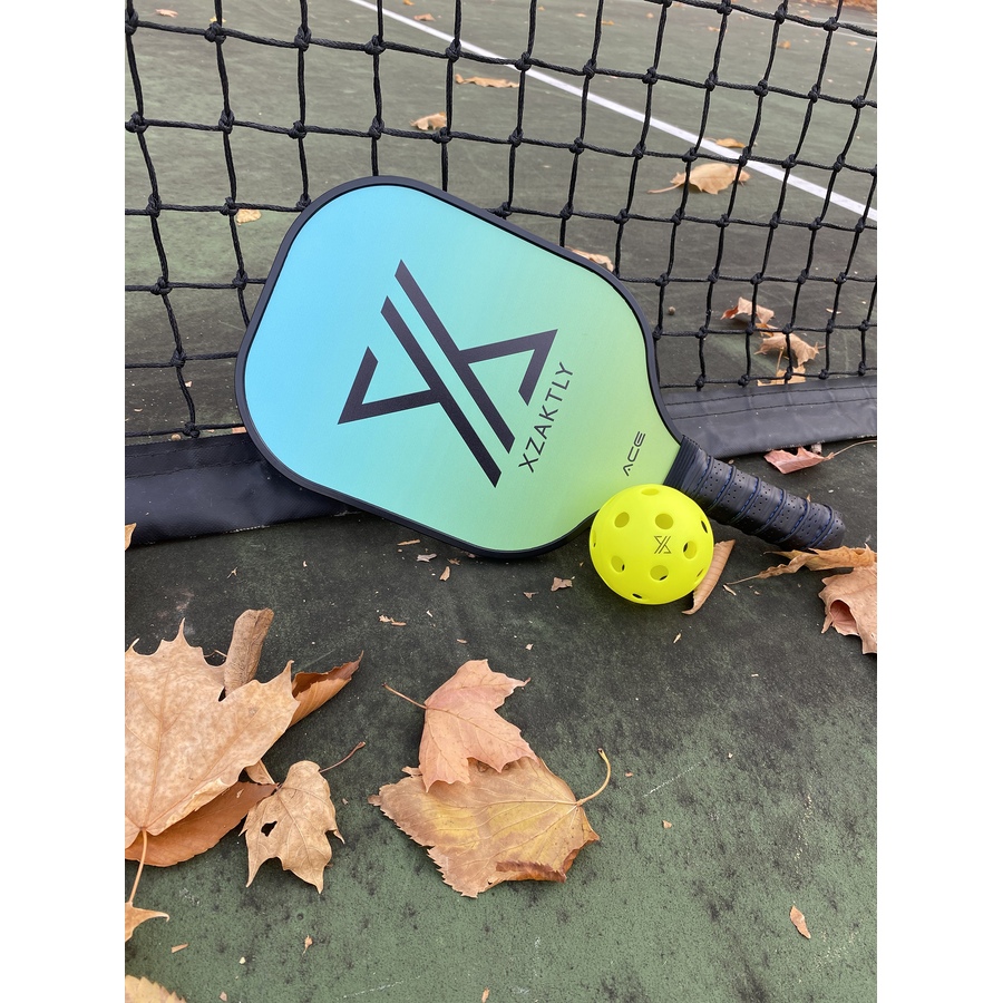 Image 728358_ALTMORE4.jpg, Product 728-358 / Price $69.99, Xzaktly Ace Carbon Fiber Pickleball Paddle from xzaktly on TSC.ca's Health & Fitness department