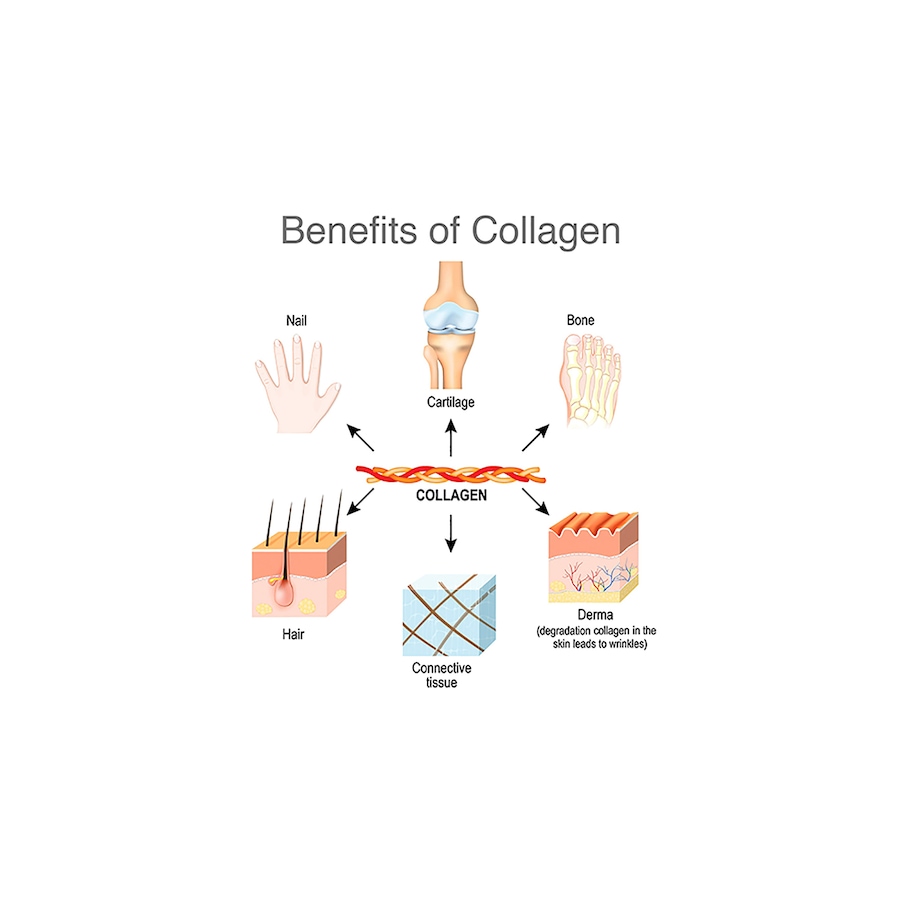 Image 728559_ALTMORE2.jpg, Product 728-559 / Price $103.99, VitaTree Care Unflavoured Collagen Powder 2 Pouches from VitaTree Nutritionals on TSC.ca's Health & Fitness department