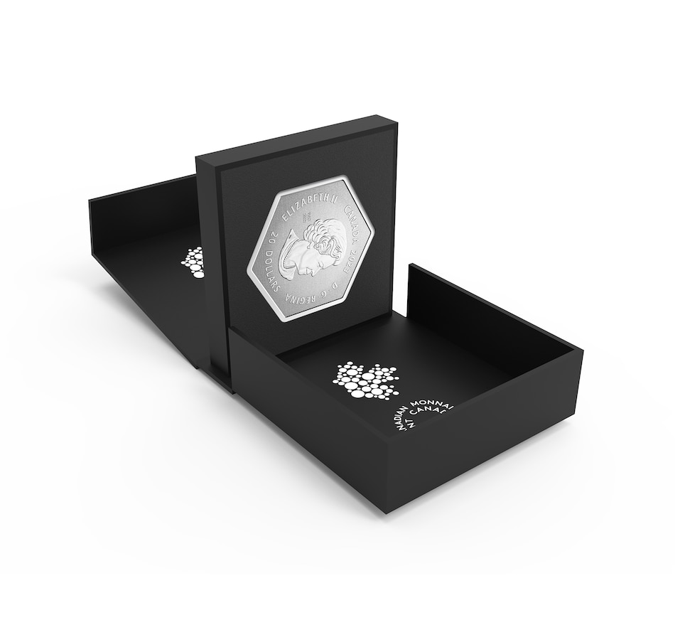 Image 729119_ALTMORE5.jpg, Product 729-119 / Price $149.95, 2023 $20 Hexagon Crystal Snowflake from Royal Canadian Mint (RCM) on TSC.ca's Coins department