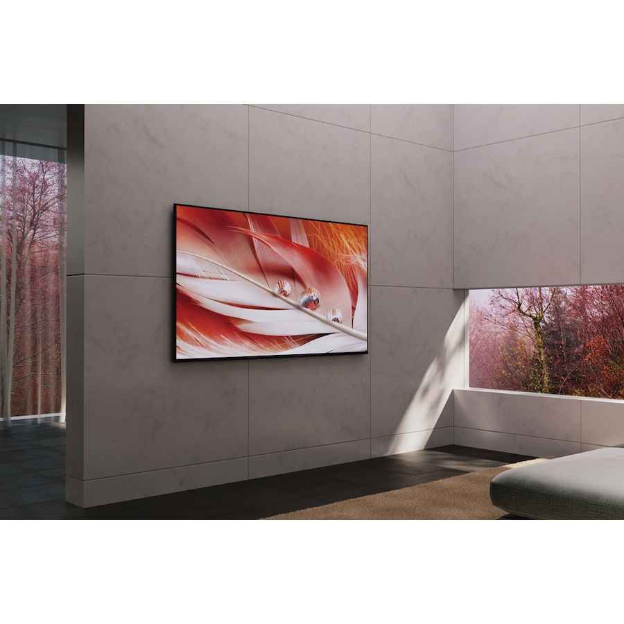 Image 729528_ALTMORE14.jpg, Product 729-528 / Price $1,149.99, Sony Bravia 65" 4K UHD HDR LED Smart Google TV (XR65X90J, open box) from Sony on TSC.ca's Electronics department