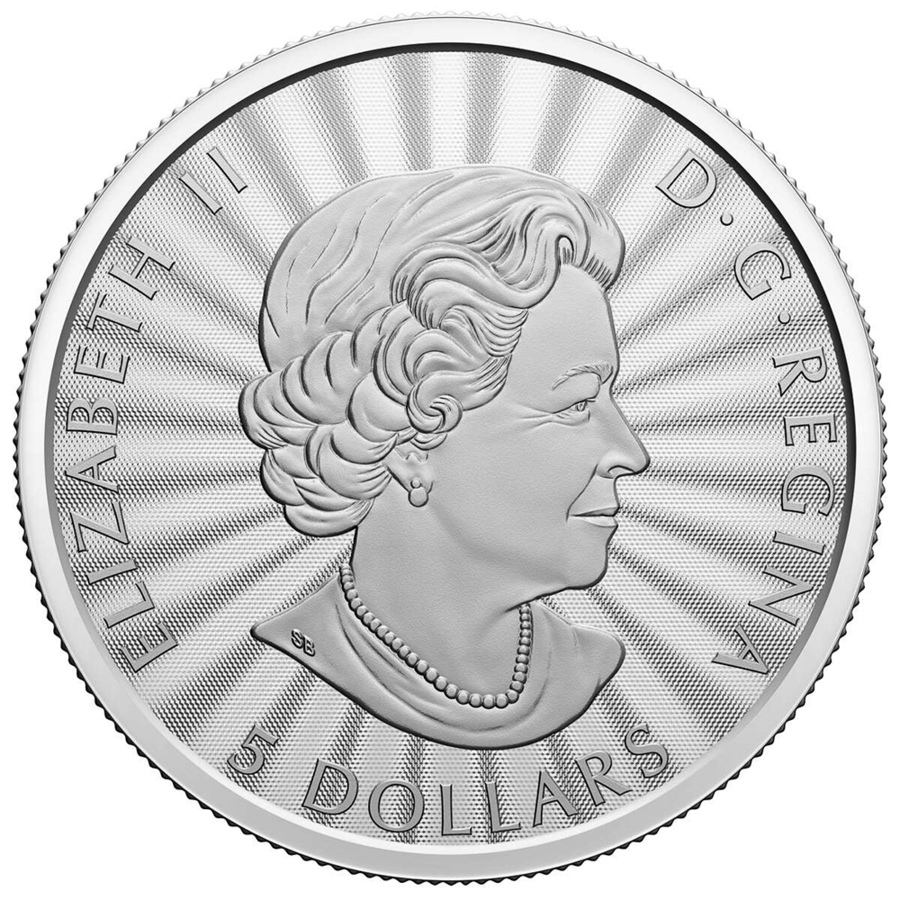 Image 729969_ALTMORE7.jpg, Product 729-969 / Price $459.90, Gold and Silver 2022 $5 Polar Bear Coin Set (1/10-ounce fine gold and one-ounce fine silver) from Royal Canadian Mint (RCM) on TSC.ca's Coins department