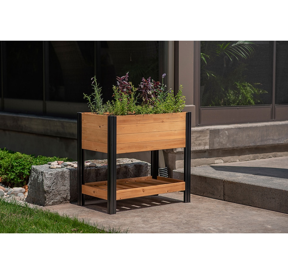 Image 730587_ALTMORE2.jpg, Product 730-587 / Price $218.00, Vita Mezza 18" x 30" Cedar Sprout Farm from Vita on TSC.ca's Home & Garden department