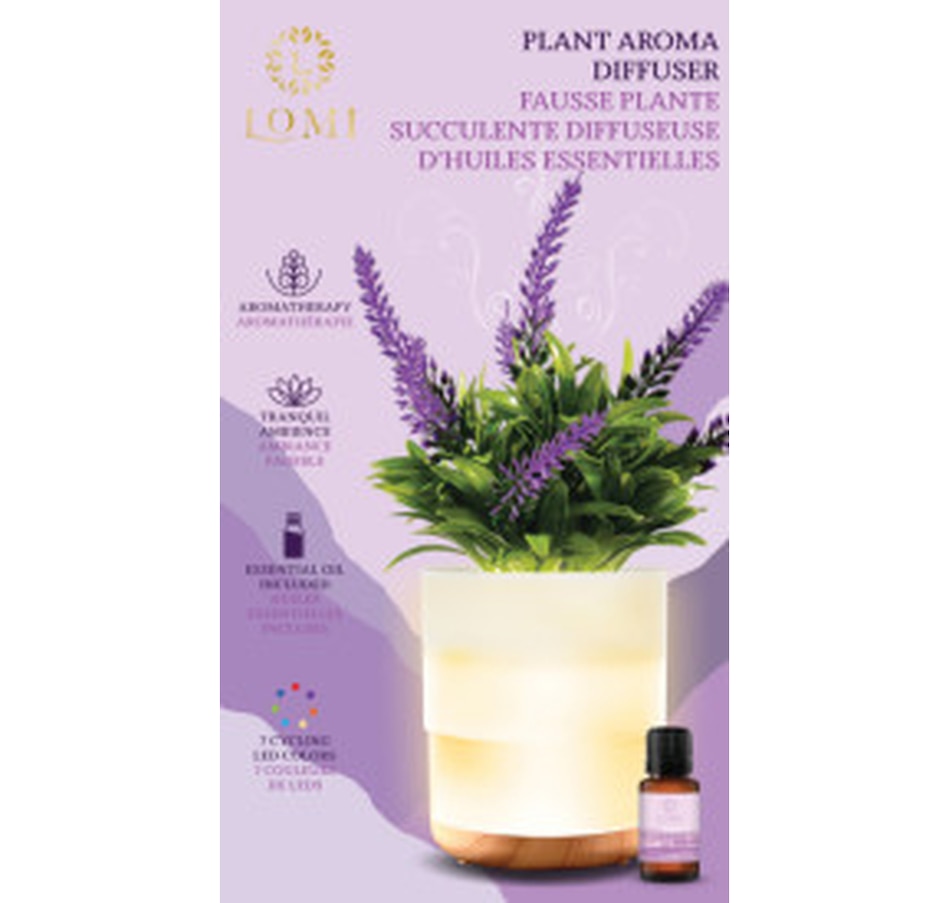 Home & Garden Décor Home Fragrance & Diffusers Diffusers Lomi Lavender Plant Aroma