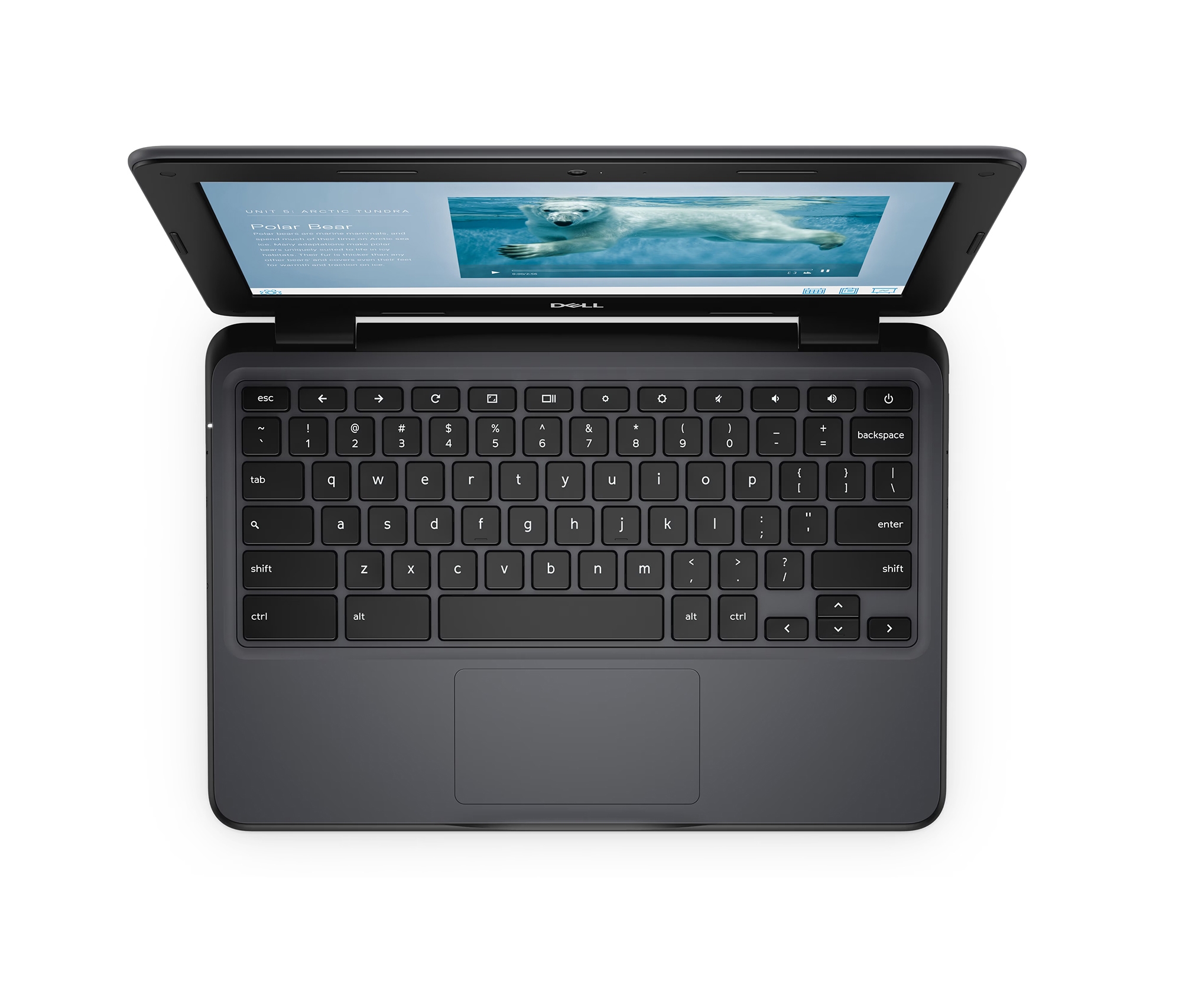 Dell Chromebook 3100 11.6