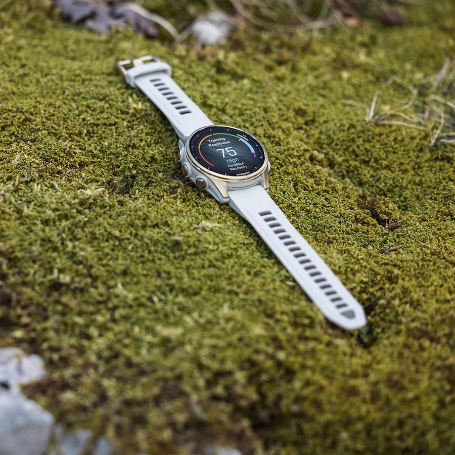 Image 731071_ALTMORE30.jpg, Product 731-071 / Price $1,399.99, Garmin fēnix 8 AMOLED Display Sapphire GPS Smartwatch (43 mm) from Garmin on TSC.ca's Electronics department