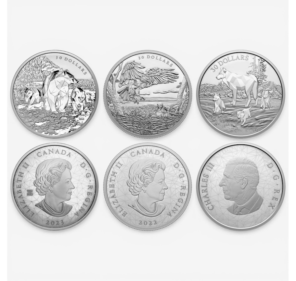 Image 732171_ALTMORE1.jpg, Product 732-171 / Price $1,199.95, Multifaceted Animal Family $30 Two-Ounce Fine Silver Coins (set of three: 2022 Bald Eagles, 2023 Grizzly Bears, 2024 Timber Wolves) from Canadian Coin & Currency on TSC.ca's Coins department