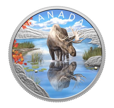 2024 $20 Wildlife Reflections Moose One-Ounce Fine Silver Coin