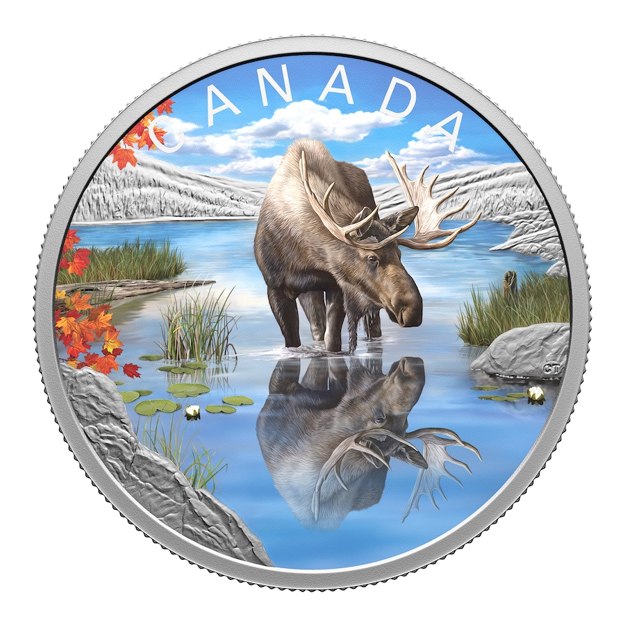 Image 733171.jpg, Product 733-171 / Price $169.95, 2024 $20 Wildlife Reflections Moose One-Ounce Fine Silver Coin from Royal Canadian Mint (RCM) on TSC.ca's Coins department