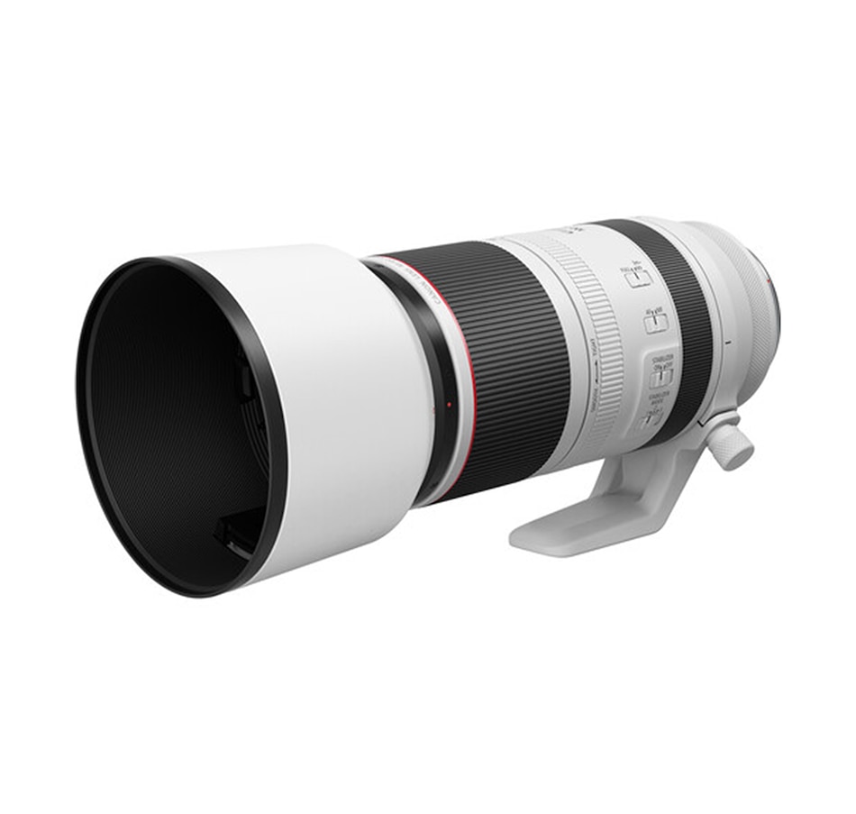 Image 734306_ALTMORE7.jpg, Product 734-306 / Price $4,102.99, Canon RF 100-500mm F/4.5-7.1 L IS USM Lens from Canon on TSC.ca's Electronics department