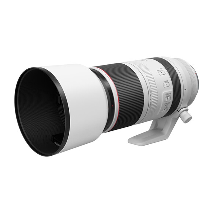 Image 734306_ALTMORE7.jpg, Product 734-306 / Price $4,102.99, Canon RF 100-500mm F/4.5-7.1 L IS USM Lens from Canon on TSC.ca's Electronics department